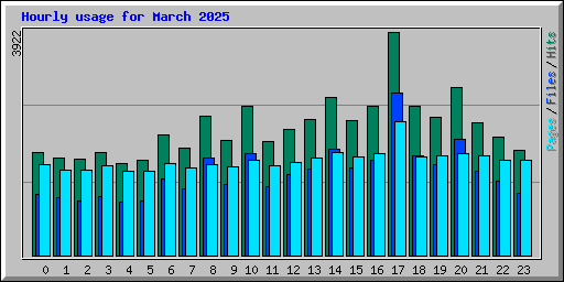 Hourly usage for March 2025